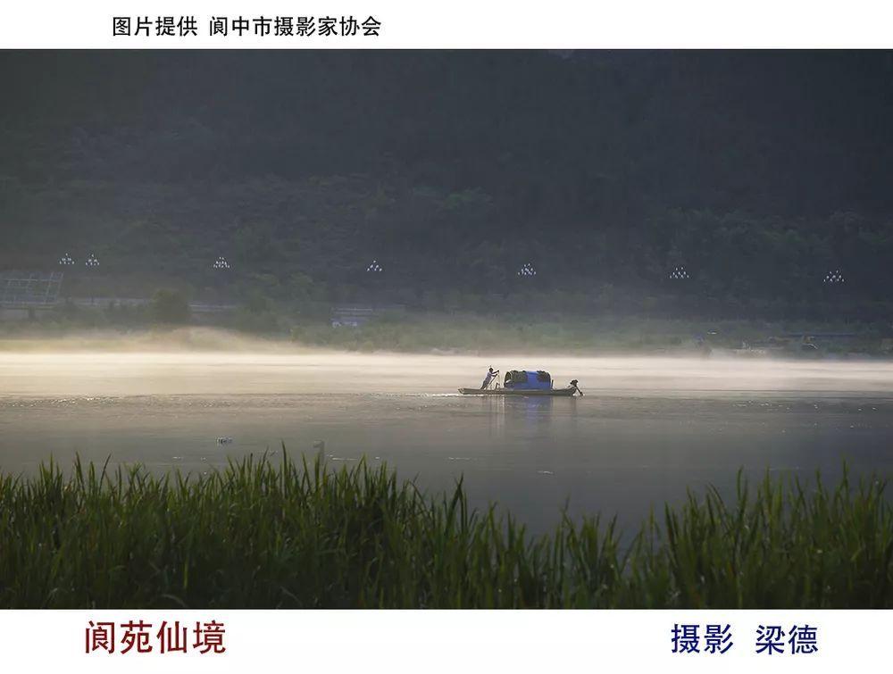 1959年一战士被毒蛇咬伤查不到蛇源，请来季德胜：怀孕的蝮蛇咬的