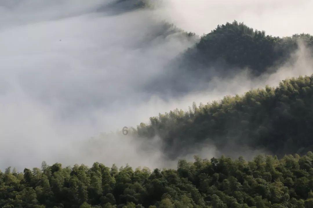 公主的华丽晚宴