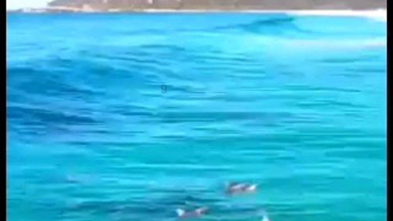 万词王