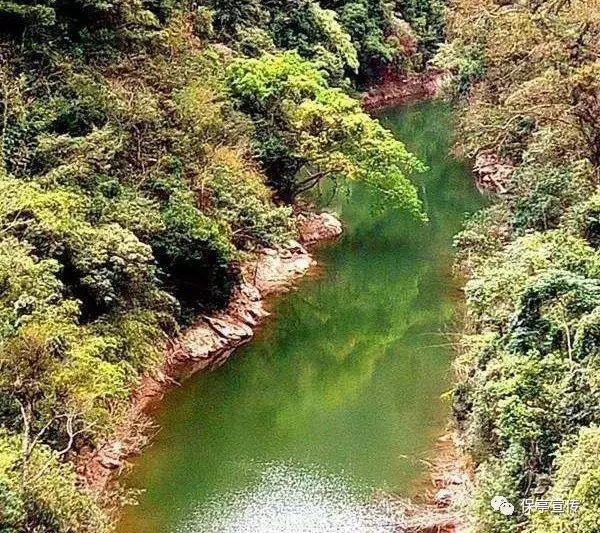 海岛冲浪
